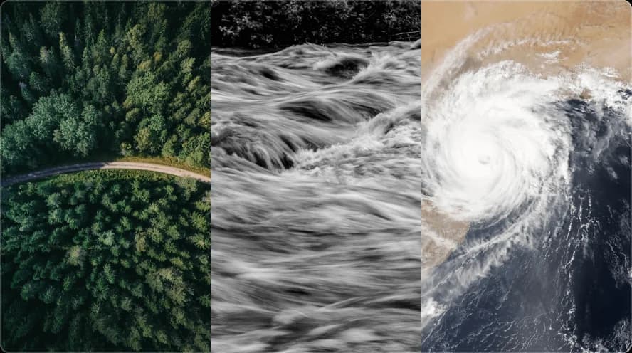 Quick response section illustration